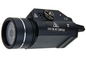 TLR1-HL Replica
